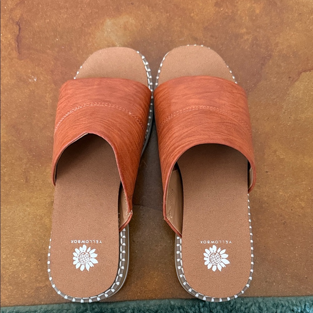 Yellow Box Women's dark tan Slide Sandals